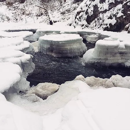 Σπίτι διακοπών Stag House - Jeleni Dom